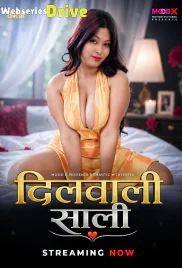 Dilwali Saali (E01) MoodX Hot Web Series (2026)