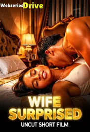 Wife Surprised UnRated Uncut Short Film (2026)